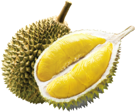 Durian Fruit Png - Durian Potong Ice Cream (500x403), Png Download