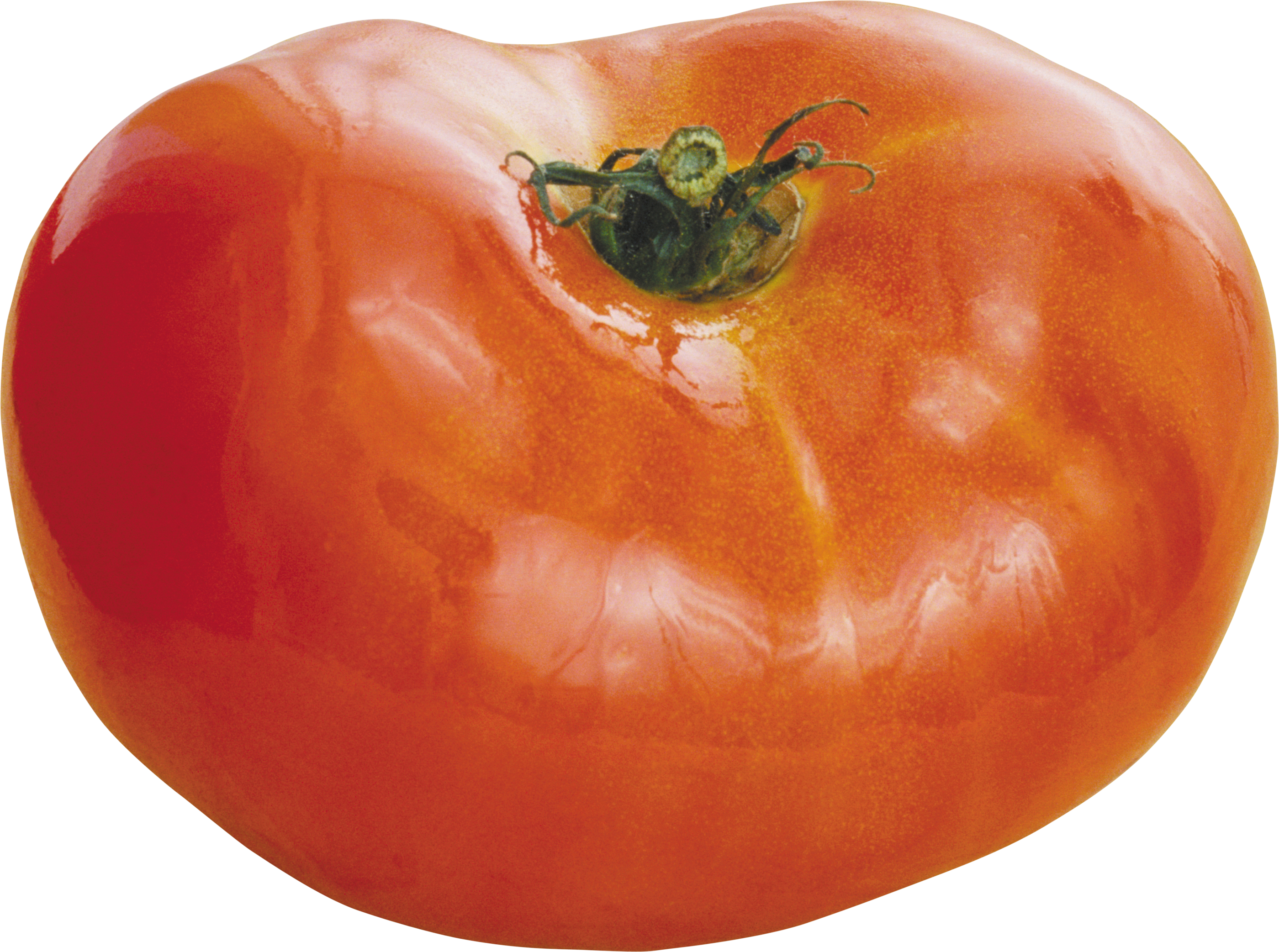 Tomato Png - Tomato (2800x2085), Png Download
