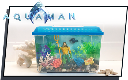 Aquarium (429x280), Png Download