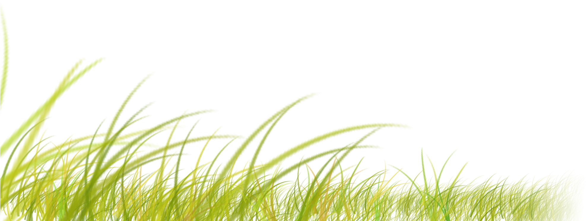 Enjoy The Ride Of A Lifetime - Sweet Grass (2000x1000), Png Download