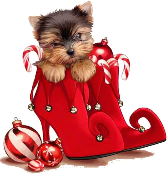 Christmas Dog Png Merry Christmas Merry Christmas Dogs - Christmas Yorkie Clip Art (543x568), Png Download