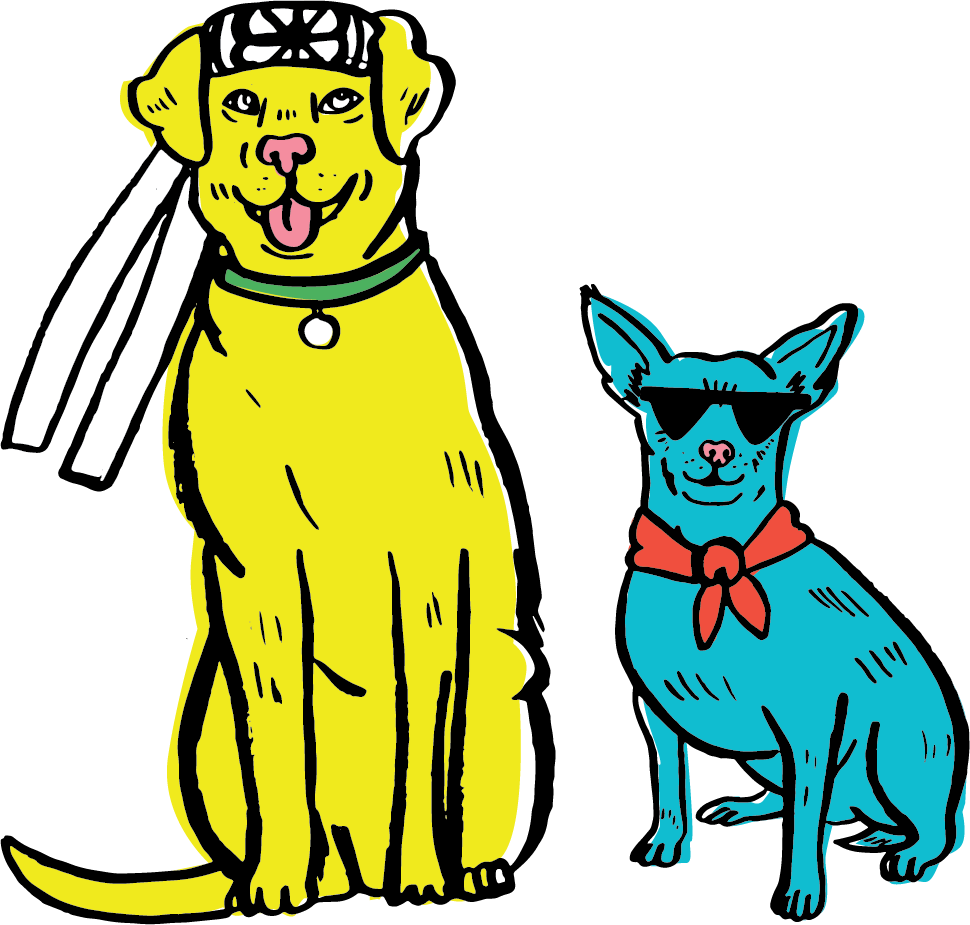 Dogs - Dog (970x925), Png Download