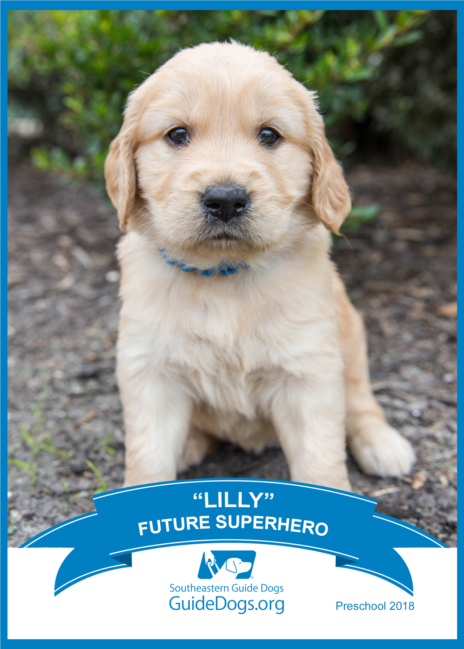 Southeastern Guide Dogs (2255x2255), Png Download
