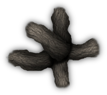 24 Mar 2009 - Echinoderm (450x400), Png Download