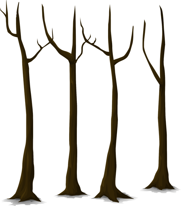 Tree Trunk Vector Png - Martha And Mitch (633x720), Png Download