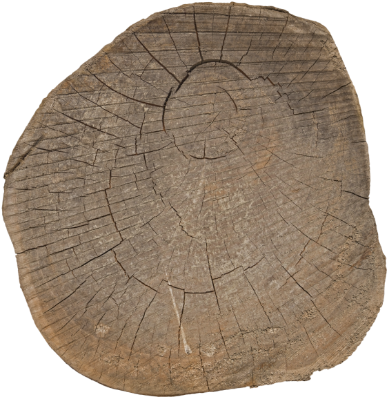 Materials - > - Nature - Trunk (600x600), Png Download
