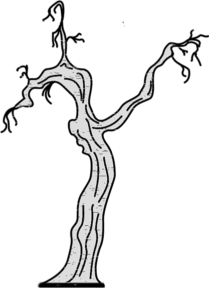 Dead Tree - Illustration (750x750), Png Download