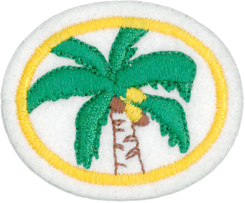 Palm Trees Honor - Palm Trees (794x658), Png Download