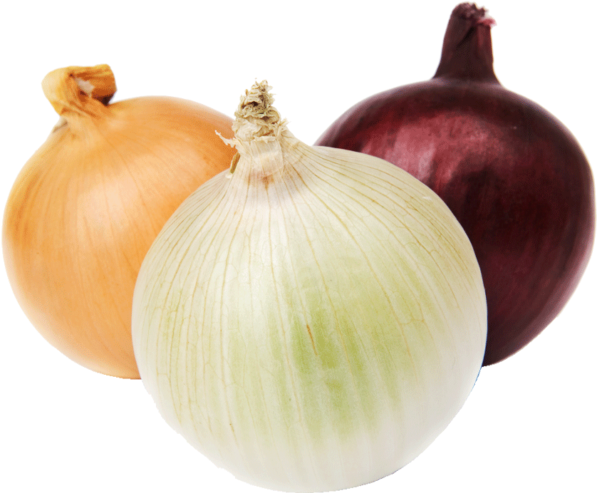 Onion 1 Kg - Stock Photography (1000x1000), Png Download