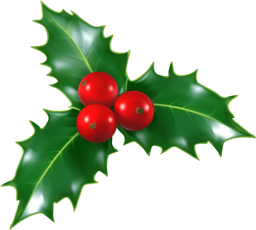 Beacon Hotel Holly - Hojas De Navidad Png (600x600), Png Download