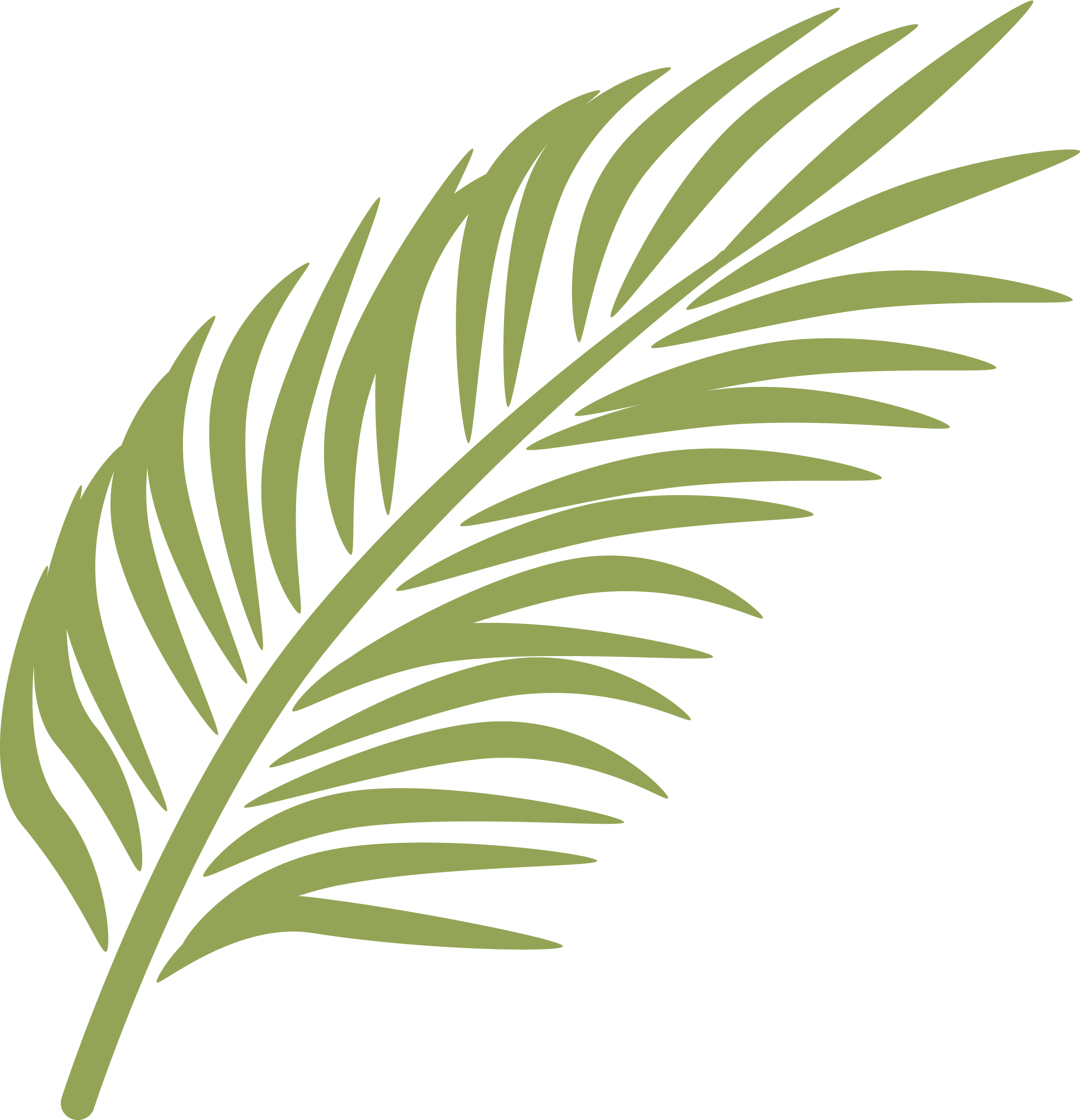 Download Palm Frond Png - Palm Leaves Clip Art Png - Full Size PNG