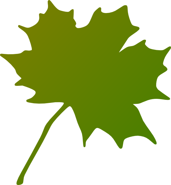 How To Set Use Green Gradient Maple Leaf Clipart - Canada's Maple Leaf Transparent (552x597), Png Download