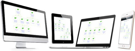 Family Tree Builder - Led-backlit Lcd Display (600x300), Png Download