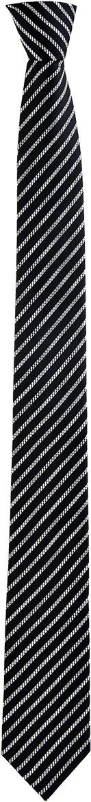 Skinny Lined Haig Tie In Black - Pattern (800x1200), Png Download