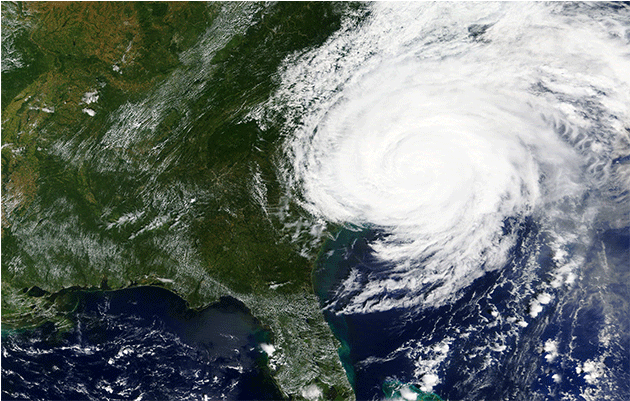 View Larger Image - Hurricane Michael (800x400), Png Download