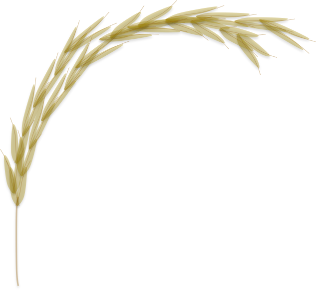 Manually Curated Rice Protein Database - Database (633x584), Png Download