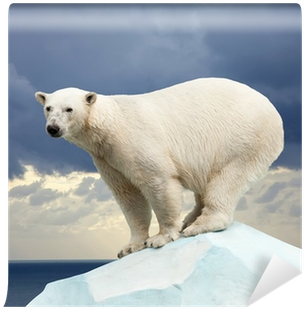 Wild Animals (hb)....future Books (400x400), Png Download