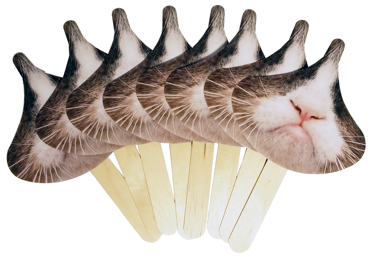 Loading Zoom - Cat (1280x889), Png Download