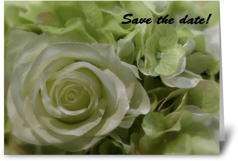 Save The Date Greeting Card - Greeting Card (848x698), Png Download
