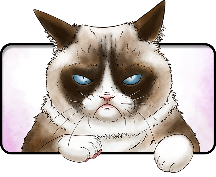 Grumpy Cat - Domestic Short-haired Cat (705x580), Png Download