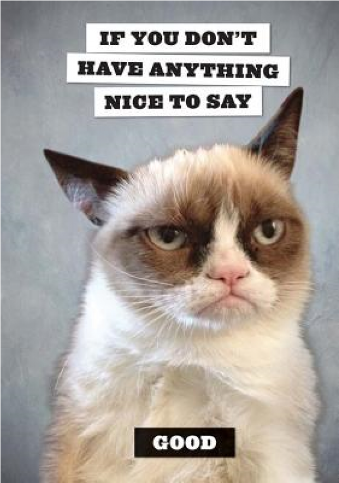 Chronicle Books - Grumpy Cat (950x950), Png Download