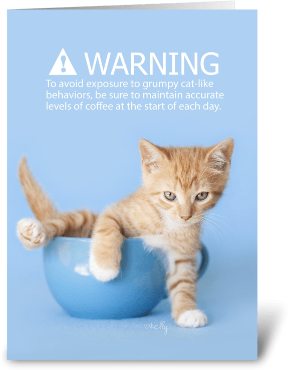Grumpy Coffee Kitten Lol Greeting Card - Your Computer Is Infected (700x792), Png Download