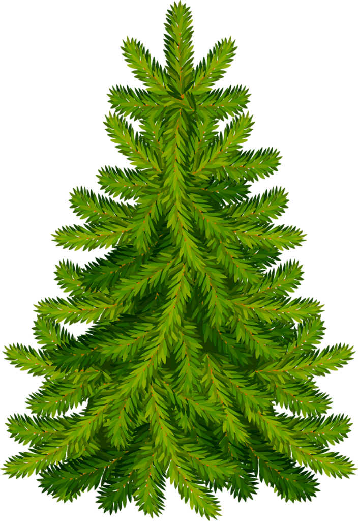 Trees ‿✿⁀°••○ - Christmas Tree (704x1024), Png Download