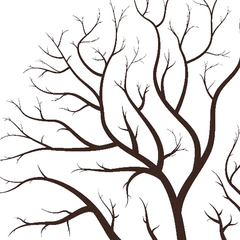 Tree-002 - Tree Branches Clip Art (480x480), Png Download