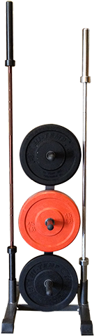 Vertical Barbell & Bumper Plate Holder - Gym (500x500), Png Download