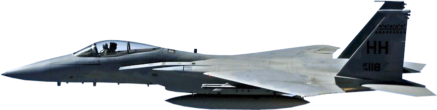Liked Like Share - F-15 Eagle 17" Laptop Sleeve (915x263), Png Download