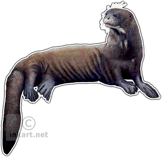 Giant River Otter Decal - Giant River Otter Png (568x550), Png Download