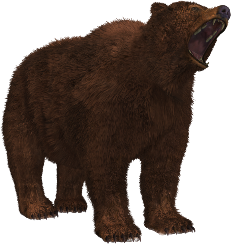 Bear Png 8 Png Image - Grizzly Bear (881x907), Png Download