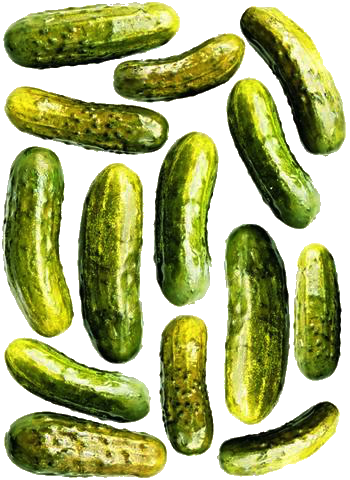 Fermented Pickles - Pickling (350x480), Png Download