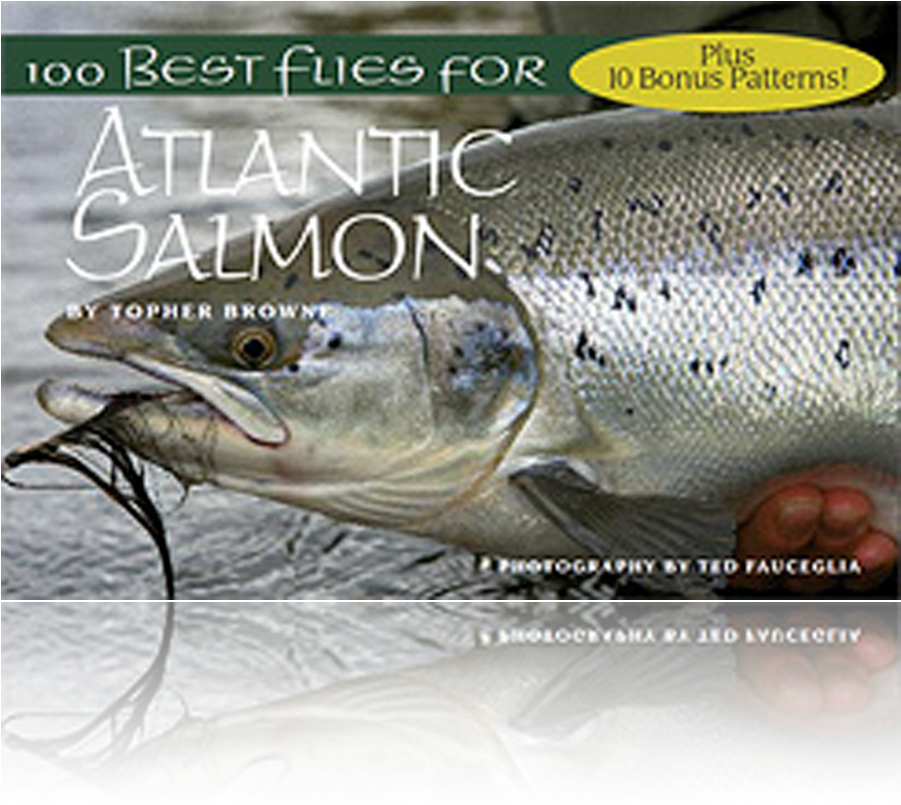 100 Best Flies For Atlantic Salmon - 100 Best Flies For Atlantic Salmon By Topher Browne (957x865), Png Download