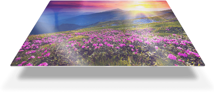 Make Your Favorite Memories Shine With Our New Metal - Easy Canvas Metal Prints (754x330), Png Download