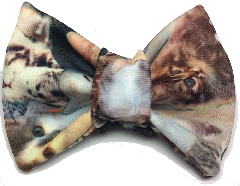 The Meta Cat Bow Tie (1000x778), Png Download