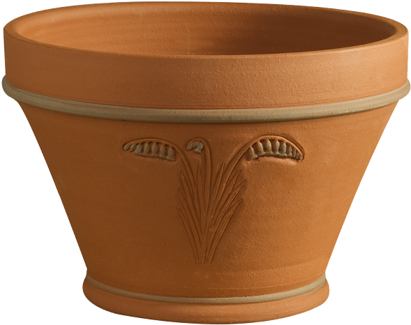 Rhs Bluebell Planter - Terracotta Pot (650x650), Png Download