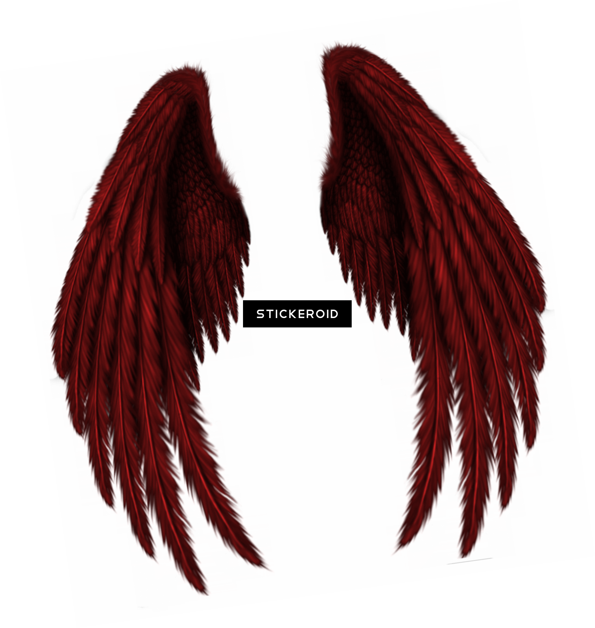 White Angel Wings - Illustration (1971x2081), Png Download