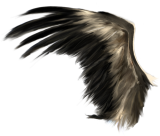 Download White Angel Wings Realistic Devil Wings Png Full Size Png Image Pngkit