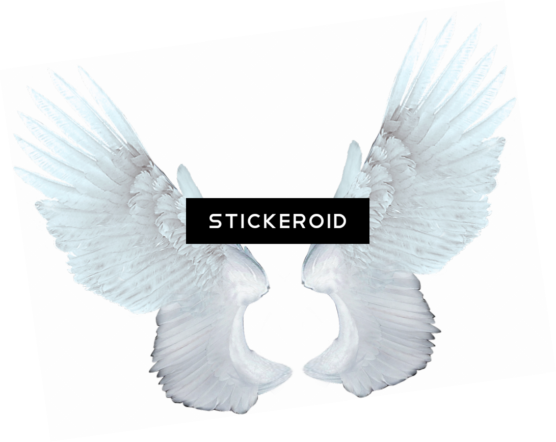 White Angel Wings - Eagle (1091x868), Png Download