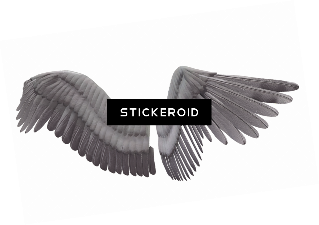 White Angel Wings - Portable Network Graphics (1101x775), Png Download