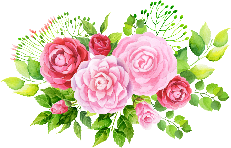 Pintado A Mano De Tres Variedades De Flores Png Transparente - Flower (1024x693), Png Download
