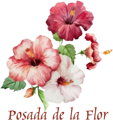 Flower Drawing In Colour (403x416), Png Download
