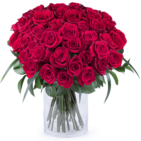 50 Shades Of Red - Significado De La Cantidad De Rosas Que Te Regalan (480x480), Png Download