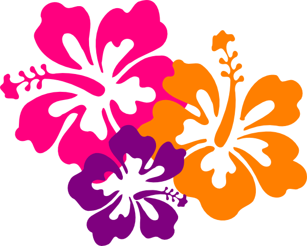 Small - Hibiscus Clip Art (600x482), Png Download