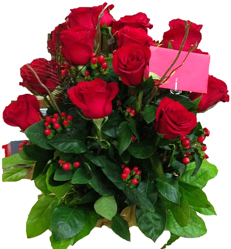 Two Red Roses In A Tall Vase With Greens And Baby Breath - Garden Roses (498x498), Png Download