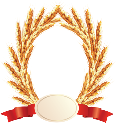 Wheat Png, Download Png Image With Transparent Background, - Arroz Png (399x420), Png Download
