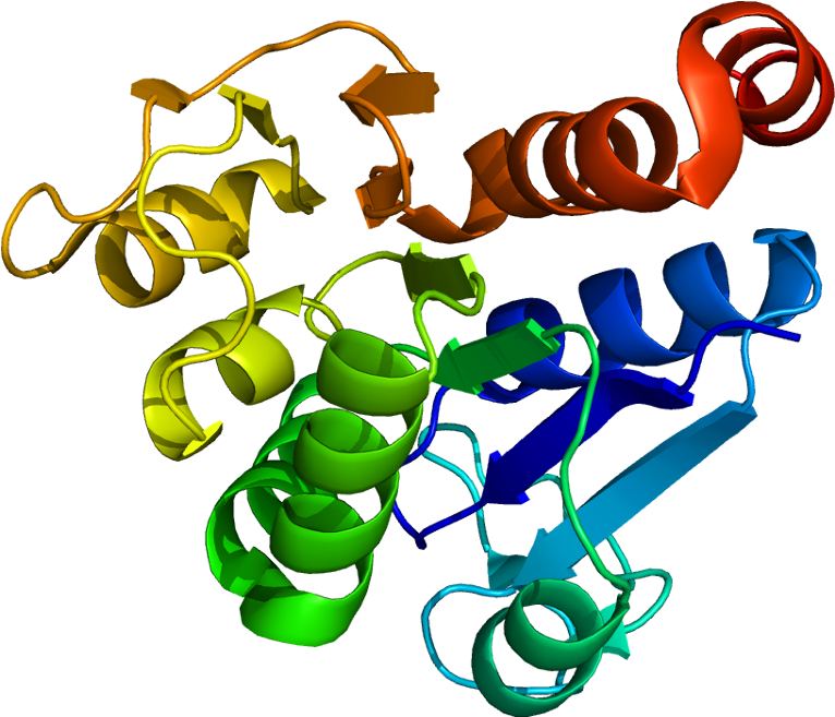 Honda dj 1 af12. казино бойз логотип. Dj 1. Dj 1. скутер honda dj1 rr af19.