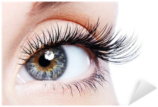 Beauty Female Eye With Curl Long False Eyelashes Sticker - Organic Castor Oil By Sky Organics (400x400), Png Download