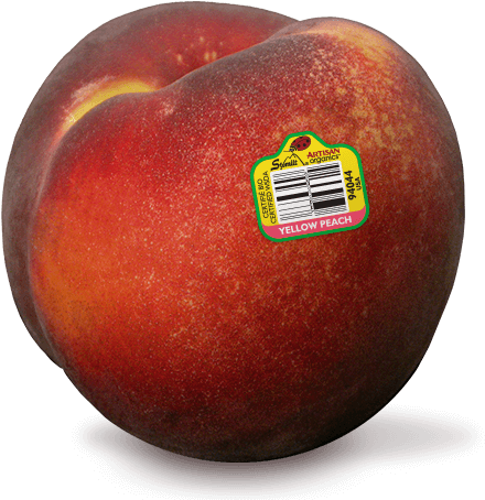 Download Recipe Book - Yellow Peach (500x500), Png Download